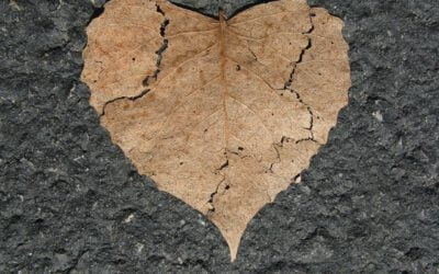 Help, ik heb liefdesverdriet…